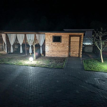 ホテル Casa Valentina Vişeu de Sus エクステリア 写真
